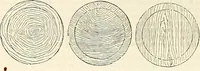An illustration from Appleton's dictionary of machines, mechanics, engine-work, and engineering : illustrated with four thousand engravings on wood ; in two volumes (1873)