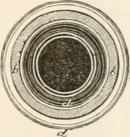 Picture 128 of 809 from Appleton's dictionary of machines, mechanics, engine-work, and engineering (1869), leaf 182