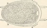 Picture 279 of 809 from Appleton's dictionary of machines, mechanics, engine-work, and engineering (1869), leaf 409