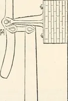 Picture 408 of 809 from Appleton's dictionary of machines, mechanics, engine-work, and engineering (1869), leaf 533