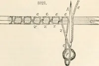 Picture 535 of 809 from Appleton's dictionary of machines, mechanics, engine-work, and engineering (1869), leaf 630