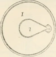 Picture 549 of 809 from Appleton's dictionary of machines, mechanics, engine-work, and engineering (1869), leaf 640