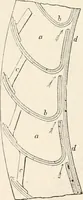 An illustration from Appleton's dictionary of machines, mechanics, engine-work, and engineering (1869)