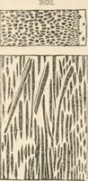 An illustration from Appleton's dictionary of machines, mechanics, engine-work, and engineering (1869)