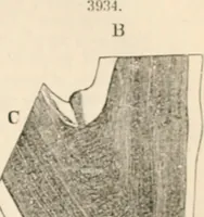 An illustration from Appleton's dictionary of machines, mechanics, engine-work, and engineering (1869)