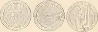 An illustration from Appleton's dictionary of machines, mechanics, engine-work, and engineering (1869)