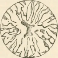 An illustration from Appleton's dictionary of machines, mechanics, engine-work, and engineering (1869)