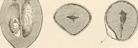 An illustration from Appleton's dictionary of machines, mechanics, engine-work, and engineering (1869)