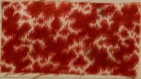 Picture 88 of 98 from Application of the benzidine colours in all branches of printing (1898), leaf 102