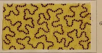 Picture 80 of 98 from Application of the benzidine colours in all branches of printing (1898), leaf 94