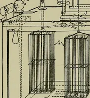 An illustration from Application of dyestuffs to textiles, paper, leather and other materials (1920)