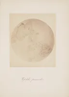 An illustration from [Applicazione della fotografia alla microscopia] (1870)
