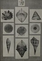 An illustration from Applied drawing (1916)