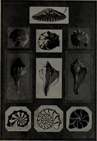 An illustration from Applied drawing (1916)