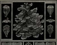 An illustration from Applied drawing (1916)