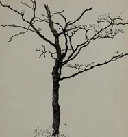 An illustration from Applied drawing (1916)