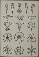 An illustration from Applied drawing (1916)