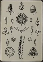 An illustration from Applied drawing (1916)