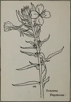 Picture 60 of 184 from Applied drawing (1916), leaf 83