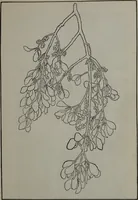 An illustration from Applied drawing (1916)