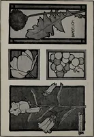 An illustration from Applied drawing (1916)