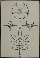An illustration from Applied drawing (1916)