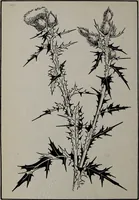 An illustration from Applied drawing (1916)
