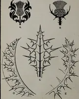 Picture 68 of 184 from Applied drawing (1916), leaf 93