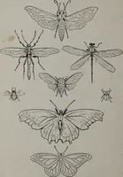 An illustration from Applied drawing (1916)