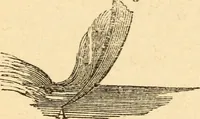 An illustration from The apprentice, or First book for mechanics, machinists, and engineers (1860)