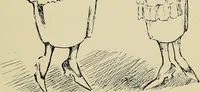 An illustration from Appropriate clothes for the high school girl (1920)