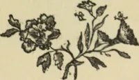 Picture 35 of 183 from Starye gody (1907), leaf 60