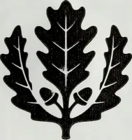 Picture 123 of 123 from Apulien (1914), leaf 214
