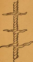 An illustration from Aquatic guide; (1891)
