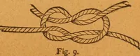 An illustration from Aquatic guide; (1891)