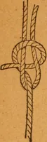 An illustration from Aquatic guide; (1891)