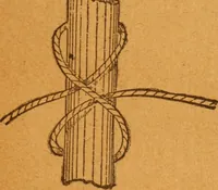 An illustration from Aquatic guide; (1891)