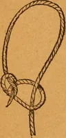 An illustration from Aquatic guide; (1891)