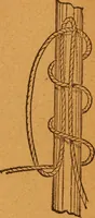 An illustration from Aquatic guide; (1891)