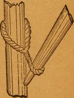 An illustration from Aquatic guide; (1891)