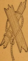 An illustration from Aquatic guide; (1891)