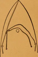 An illustration from Aquatic guide; (1891)