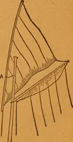 An illustration from Aquatic guide; (1891)