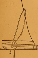 An illustration from Aquatic guide; (1891)