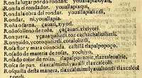 An illustration from Aqui comiença vn vocabulario enla lengua castellana y mexicana, (1555)