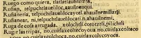 An illustration from Aqui comiença vn vocabulario enla lengua castellana y mexicana, (1555)