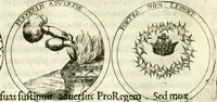 Picture 63 of 69 from Aquilae Austriacae pars secunda, seu, Monarchiae occidentalis tomus octauus : in quo imperatores Austrii a Maximiliano II vsquè ad coronationem Leopoldi Primi Occidentis imperatorem LI elogijs, hieroglyphicis, numismatibus, insignibus, symbolis, imaginibus antiquis ad viuum exhibentur exculpti, & longa historiarum serie exarati : vt nihil relictum sit, quod prisci vel hodierni habeant annales, sed diplomata, leges, indulta, genealogiae, donationes, priuilegia offeruntur congesta : inseruntur et regum principumque imagines, nummi honorarij, castrenses, triumphales, votiui, missiles, &c. qui sanguine, foedere, bello imperatoribus iuncti, occurrunt in opere : subijcitur cuique caesarum appendix symbolica, sacrolegalis, & historicopolitica, in qua symbolis & hieroglyphicis, are affabrè exculptis, Caesares eorumq[ue] gesta pinguntur & explanantur (1679), leaf 265