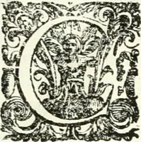 An illustration from Aquila franca sub qua Francones imperatores a Conrado II Salico vsquè ad Lotharium II Occidentis imperatorem XX : elogiis, hieroglyphicis, numismatibus, insignibus, symbolis, imaginibus antiquis ad viuum exhibentur exculpti, & longa historiarum serie exarati : vt nihil relictum sit, quod prisci vel hodierni habeant annales, sed diplomata, leges, indulta, genealogiae, donationes, priuilegia offeruntur congesta : inseruntur et regum principumque imagines, nummi honorarij, castrenses, triumphales, votiui, missiles, &c. qui sanguine, foedere, bello imperatoribus iuncti, occurrunt in opere : accedit cuique Caesarum tractatus sacrolegalis, & historicopoliticus ... (1679)