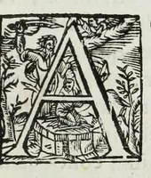 An illustration from Aquila parentalis, sive, Funebris apparatus in funebre comitis Alberti de Grassis Bononiae senatoris, et Collegij Montis alti vice protectoris : eminentissimo ac reverendiss. Principi S.R.E. Cardinal Pallotto (1663)