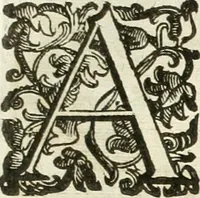 An illustration from Aquila Romana, ouero, Monarchia occidentale da Carlo Magno d'Occidente imperador primo : sino alla coronatione del glorioso Leopoldo Primo : tutti con le loro effigie dal naturale, aggiontiui li geroglifici ed allegorie, inuentione dell' autore (1679)